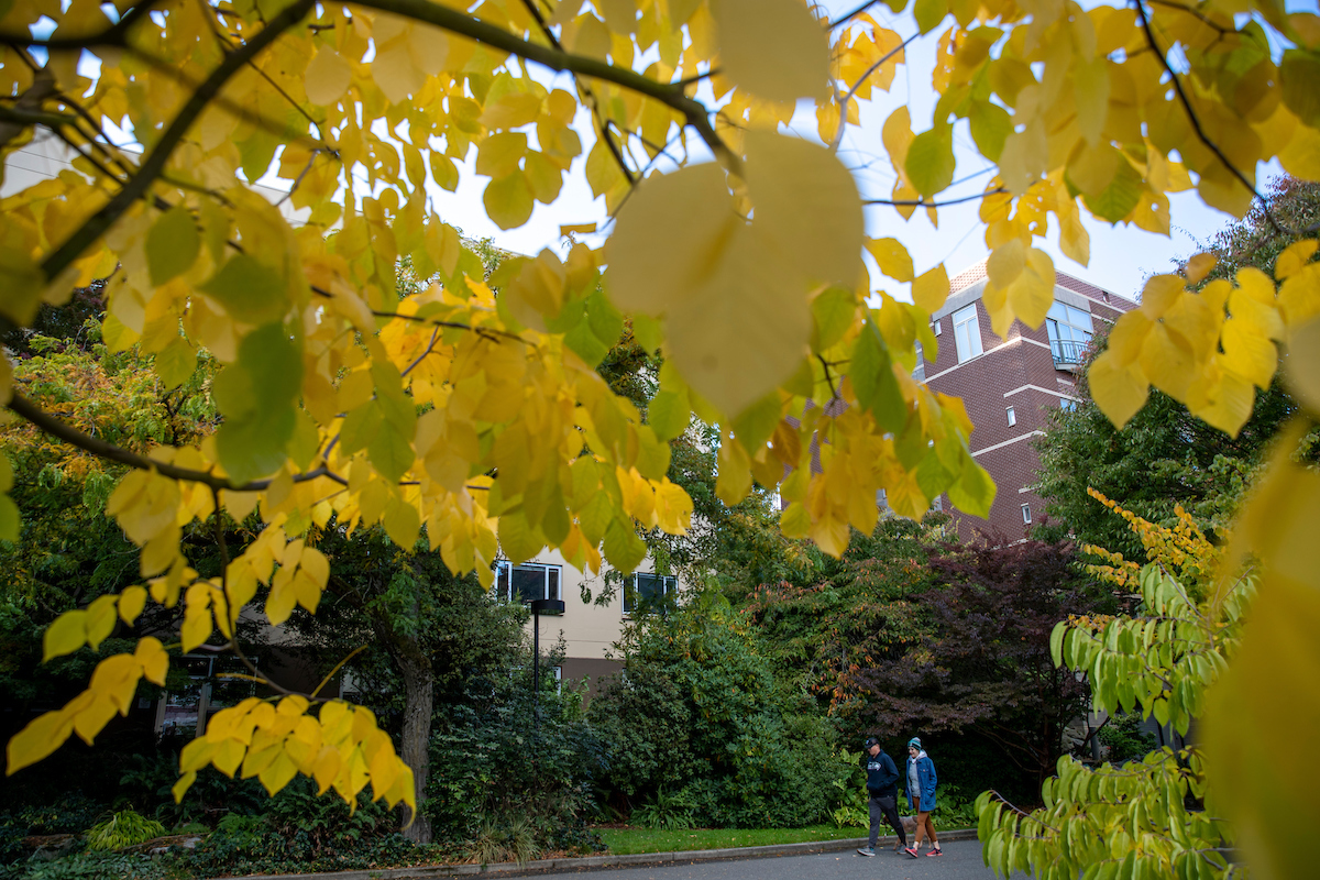 Fall campus scene